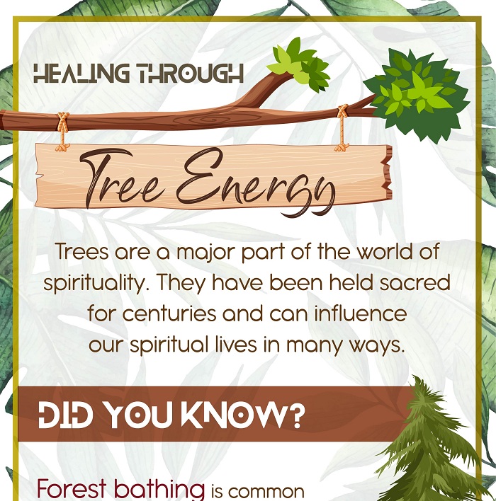 Healing Through Tree Energy - Infographic