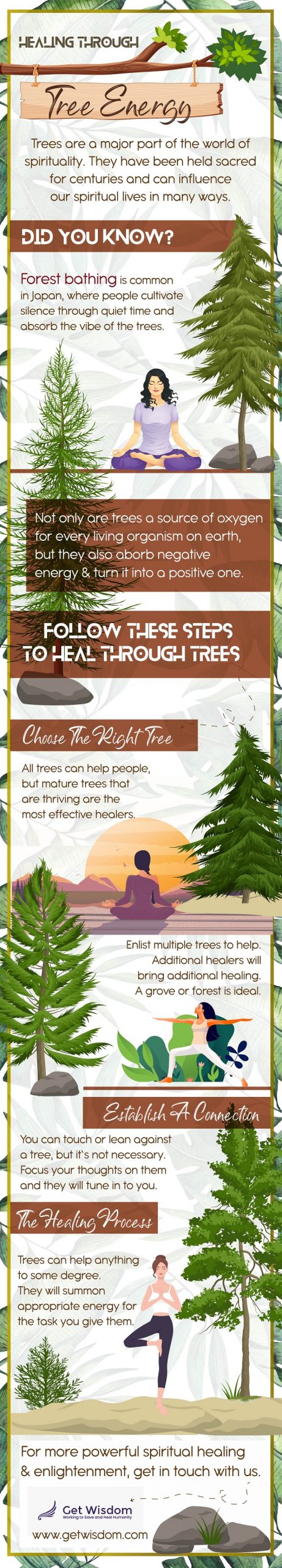 Trees are a major part of the world of spirituality. They have been held sacred for centuries and can influence our spiritual lives in many ways. 