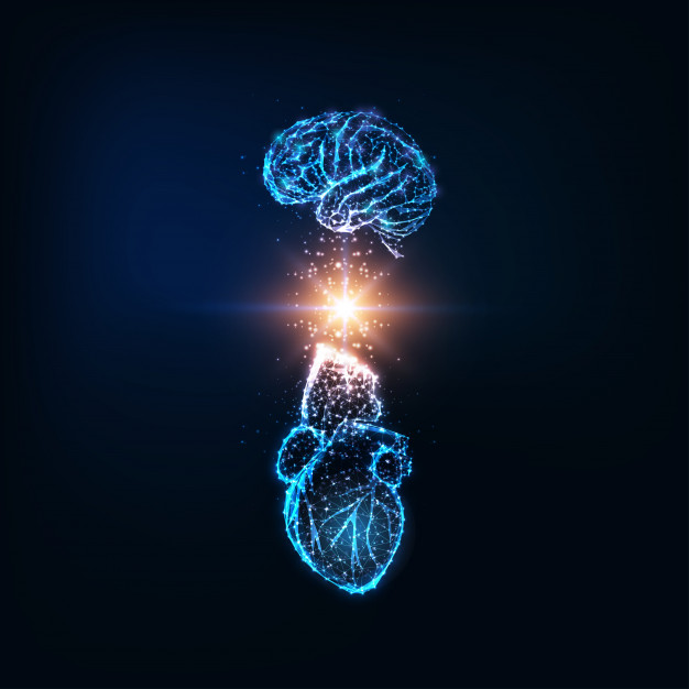 An abstract depiction of a brain and heart’s symbolic connection